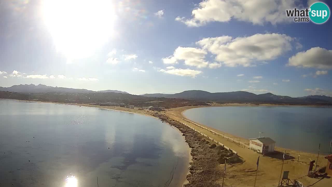 L’Isuledda live webcam Isola dei Gabbiani – Porto Pollo – Palau – Sardinien – Italien