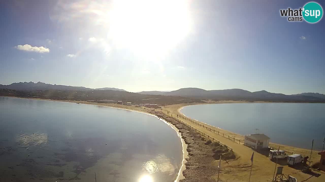 L’Isuledda webcam Isola dei Gabbiani – Porto Pollo – Palau – Cerdeña – Italia