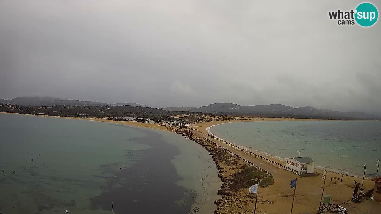 Live Webcam Isuledda – Isola dei Gabbiani – Porto Pollo – Palau – Sardinia