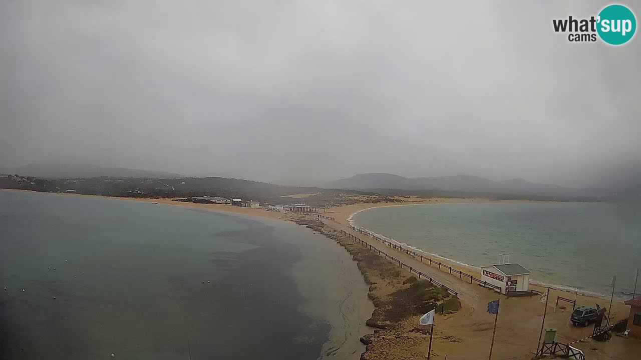 L’Isuledda webcam Isola dei Gabbiani – Porto Pollo – Palau – Sardegna