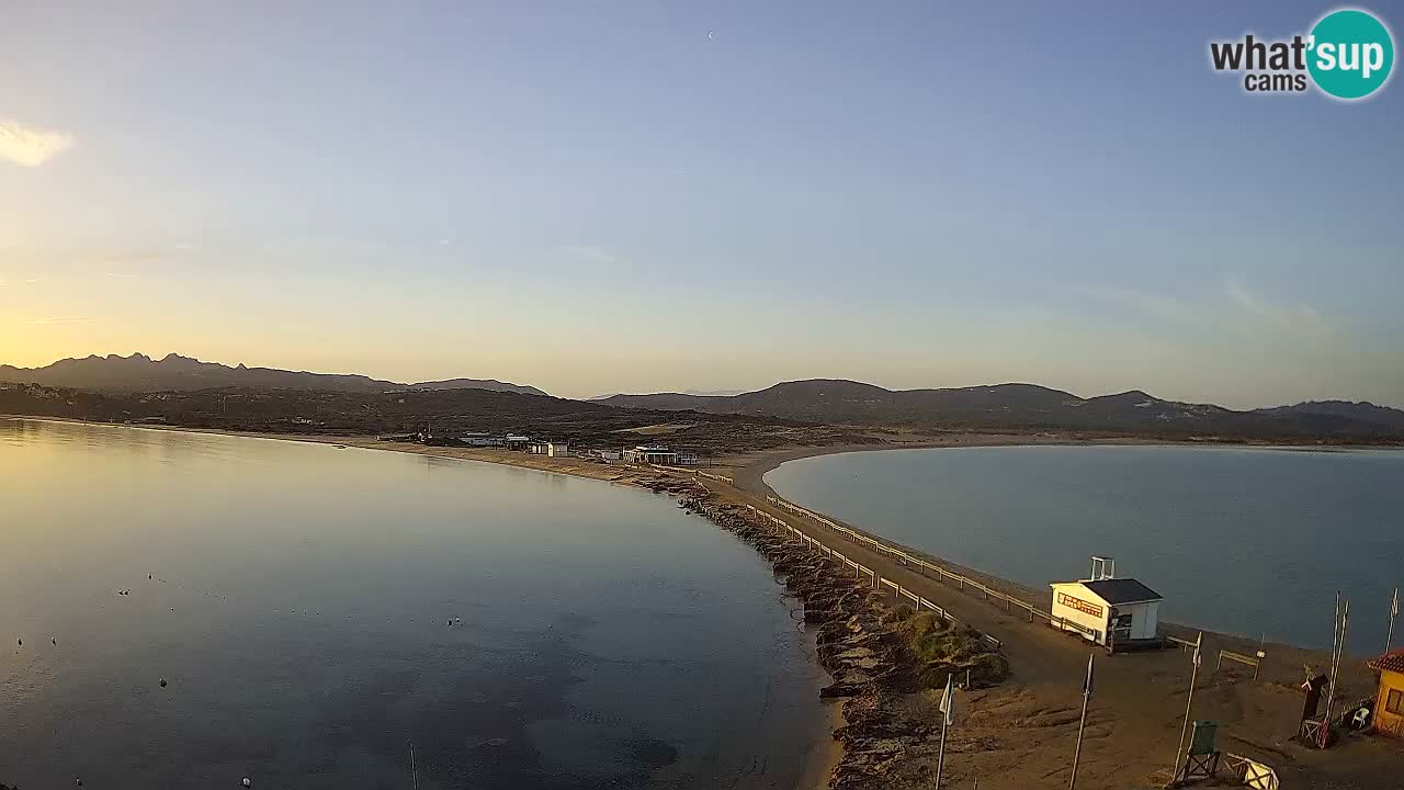 L’Isuledda spletna kamera Isola dei Gabbiani – Porto Pollo – Palau – Sardinija – Italija