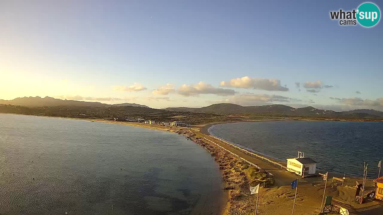 L’Isuledda webcam Isola dei Gabbiani – Porto Pollo – Palau – Sardegna