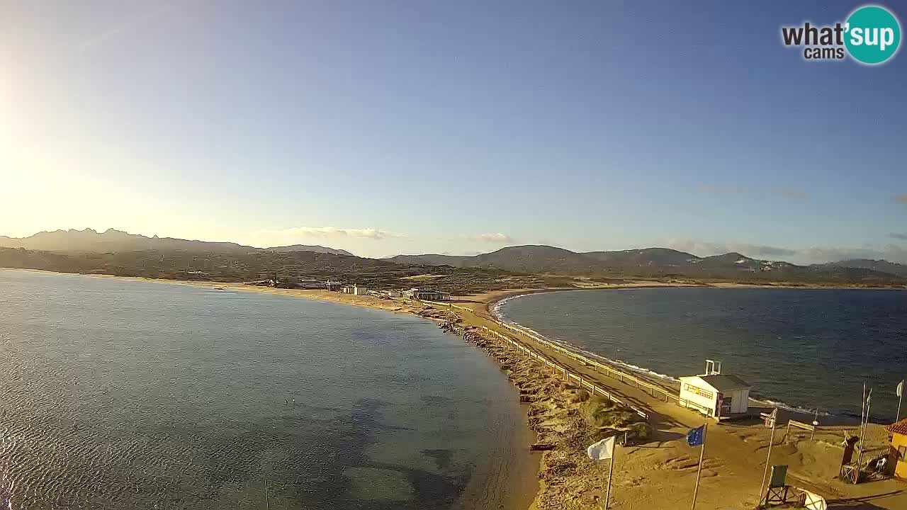 Livecam l’Isuledda – Isola dei Gabbiani – Porto Pollo – Palau – Sardaigne – Italie