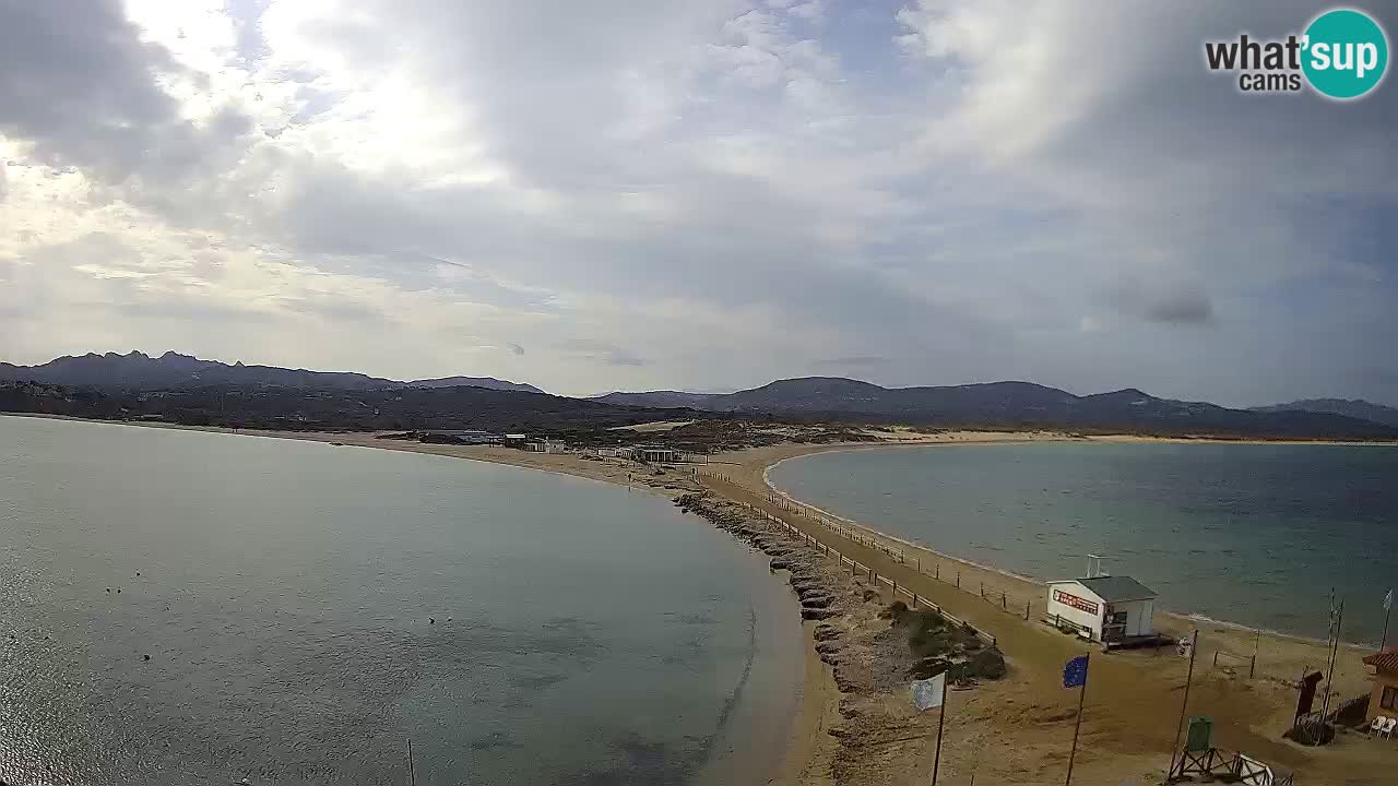 L’Isuledda webcam Isola dei Gabbiani – Porto Pollo – Palau – Cerdeña – Italia