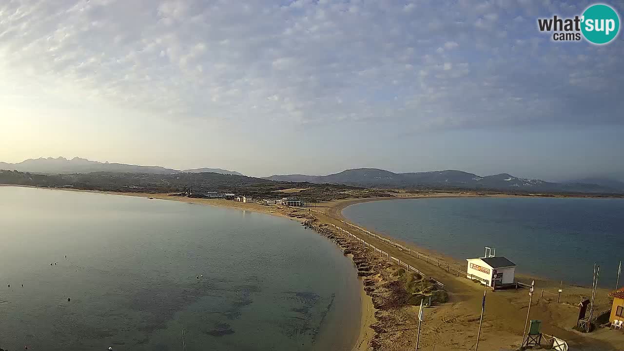 L’Isuledda webcam Isola dei Gabbiani – Porto Pollo – Palau – Sardegna