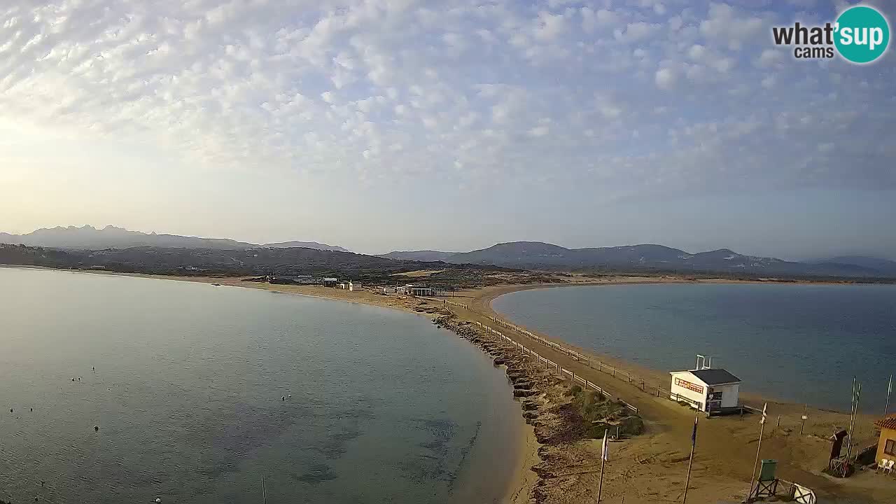 L’Isuledda webcam Isola dei Gabbiani – Porto Pollo – Palau – Sardegna