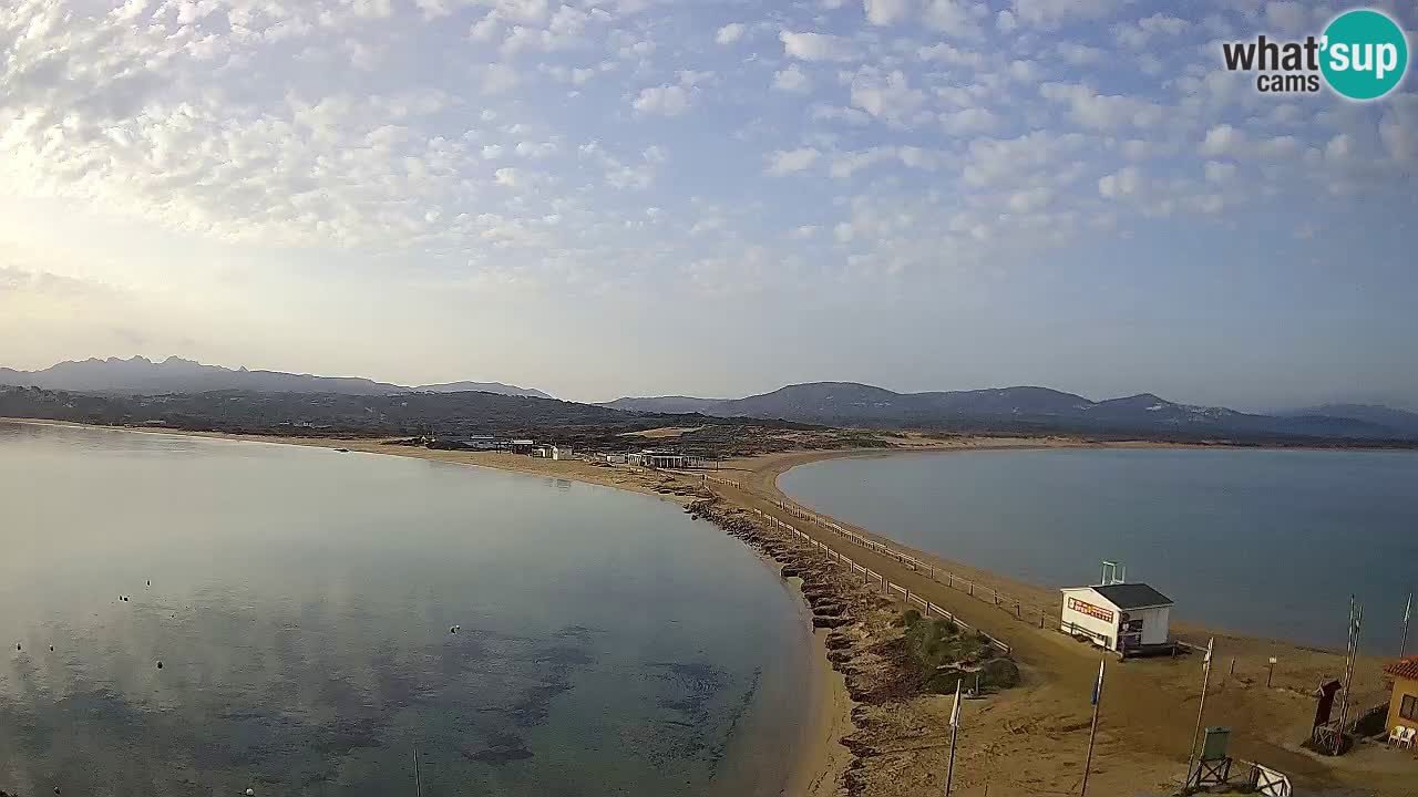 L’Isuledda webcam Isola dei Gabbiani – Porto Pollo – Palau – Cerdeña – Italia