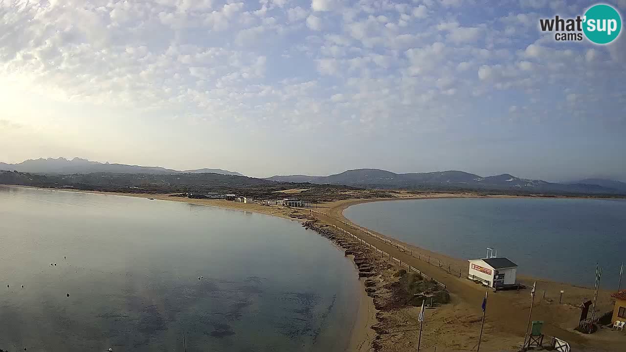 L’Isuledda webcam Isola dei Gabbiani – Porto Pollo – Palau – Sardegna