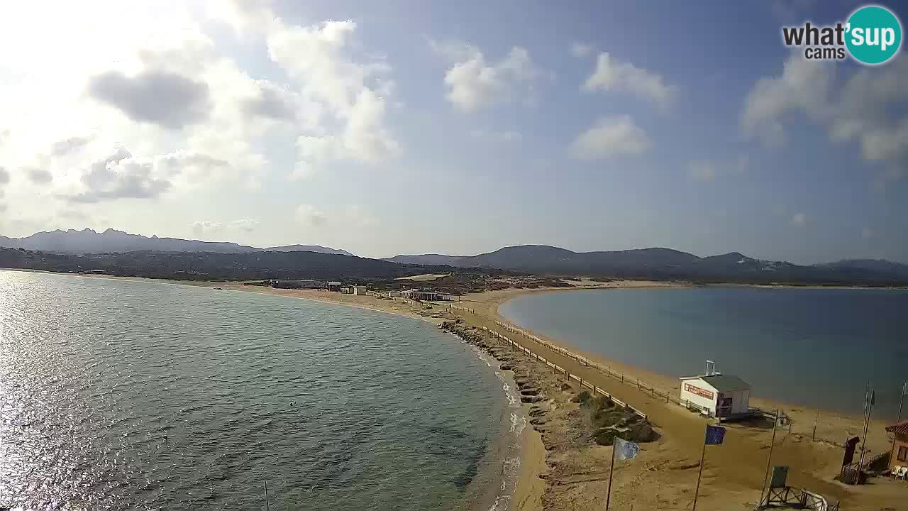 L’Isuledda webcam Isola dei Gabbiani – Porto Pollo – Palau – Sardegna