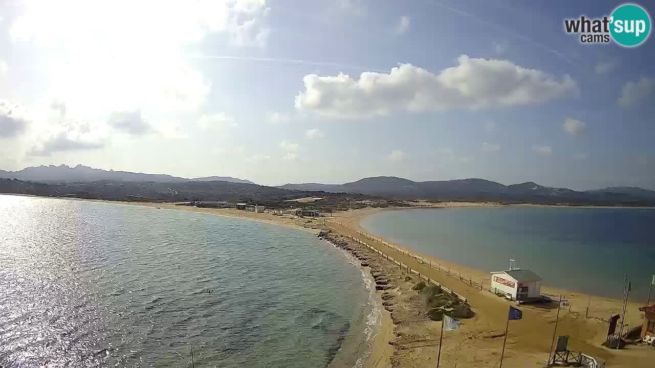 L’Isuledda webcam Isola dei Gabbiani – Porto Pollo – Palau – Cerdeña – Italia