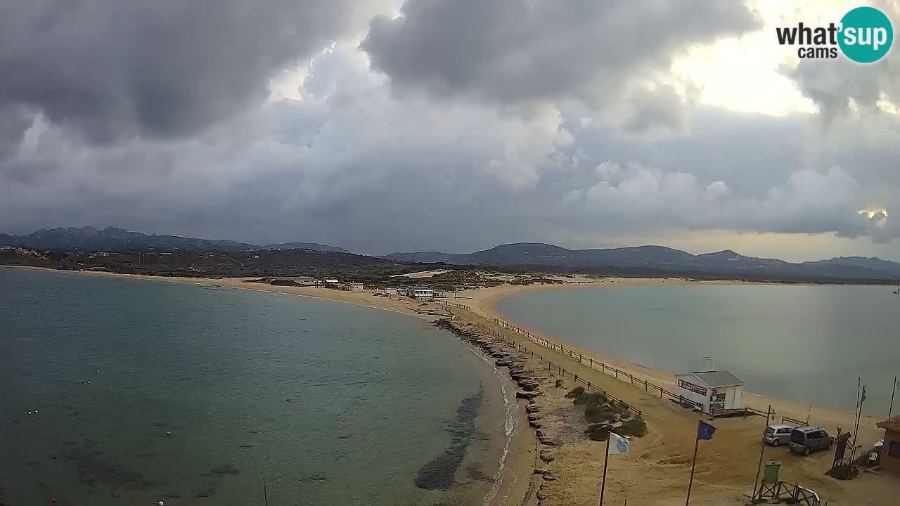 L’Isuledda webcam Isola dei Gabbiani – Porto Pollo – Palau – Cerdeña – Italia