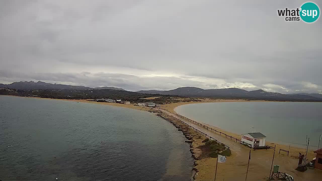 Live Webcam Isuledda – Isola dei Gabbiani – Porto Pollo – Palau – Sardinia