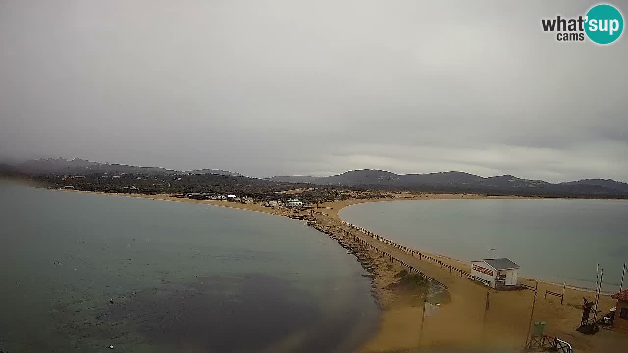 Livecam l’Isuledda – Isola dei Gabbiani – Porto Pollo – Palau – Sardaigne – Italie