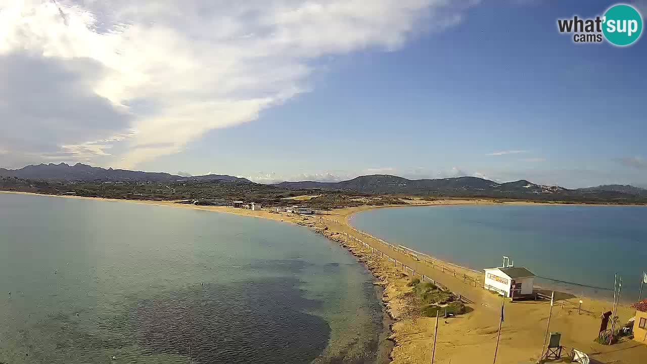 L’Isuledda webcam Isola dei Gabbiani – Porto Pollo – Palau – Sardegna