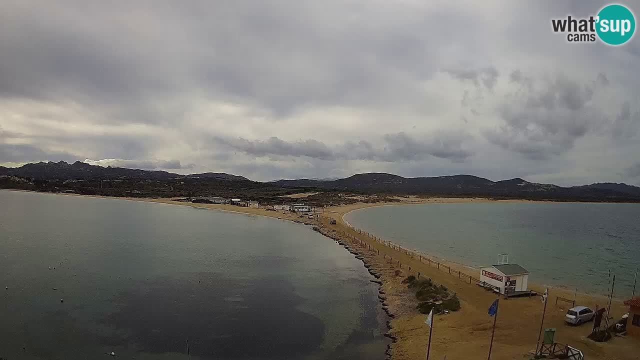 Livecam l’Isuledda – Isola dei Gabbiani – Porto Pollo – Palau – Sardaigne – Italie