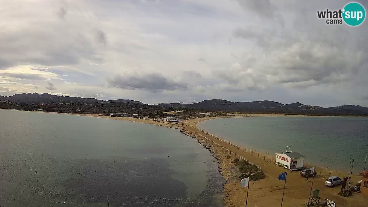 L’Isuledda webcam Isola dei Gabbiani – Porto Pollo – Palau – Sardegna