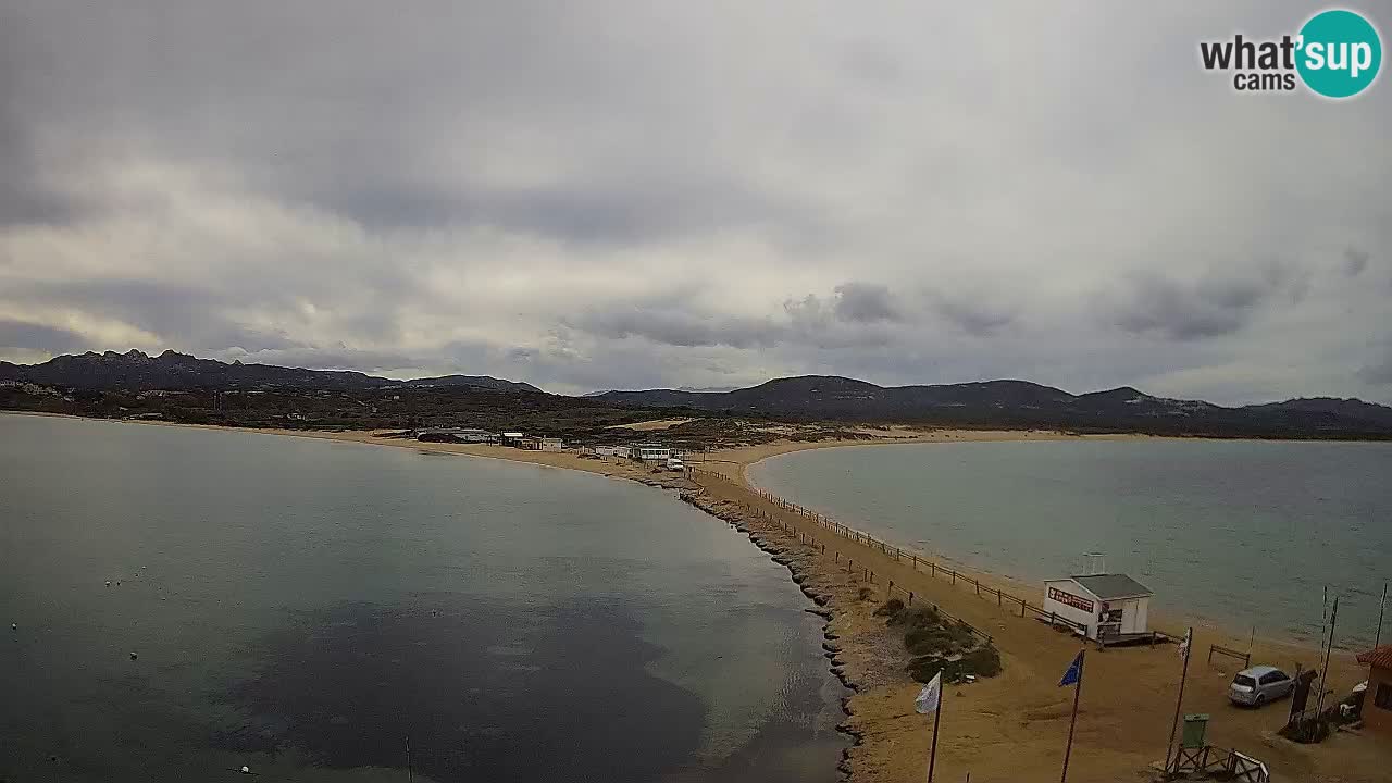 Live Webcam Isuledda – Isola dei Gabbiani – Porto Pollo – Palau – Sardinia