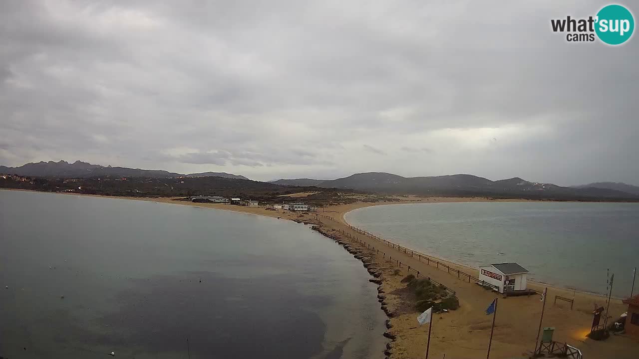 L’Isuledda webcam Isola dei Gabbiani – Porto Pollo – Palau – Sardegna