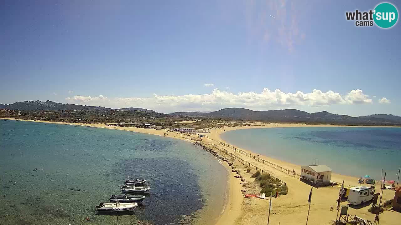 L’Isuledda webcam Isola dei Gabbiani – Porto Pollo – Palau – Cerdeña – Italia