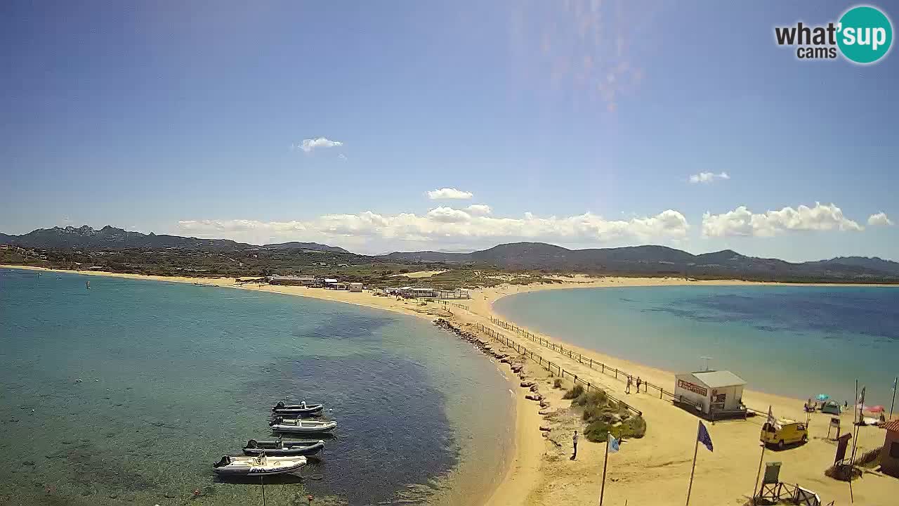 L’Isuledda webcam Isola dei Gabbiani – Porto Pollo – Palau – Sardegna