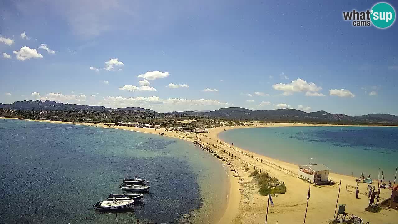 Livecam l’Isuledda – Isola dei Gabbiani – Porto Pollo – Palau – Sardaigne – Italie