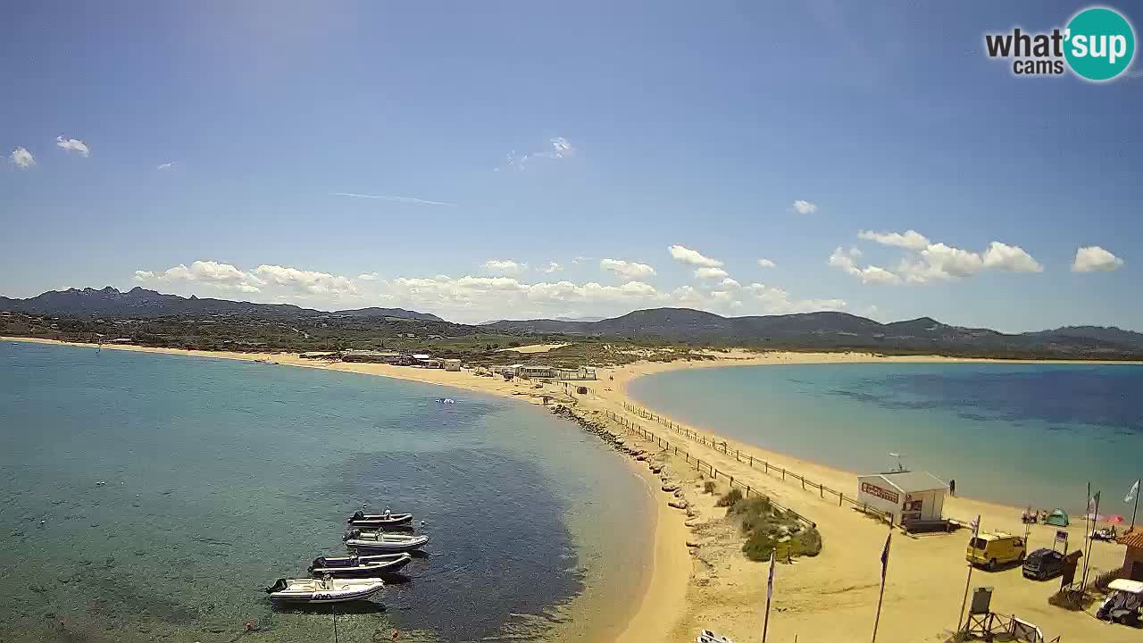 Livecam l’Isuledda – Isola dei Gabbiani – Porto Pollo – Palau – Sardaigne – Italie
