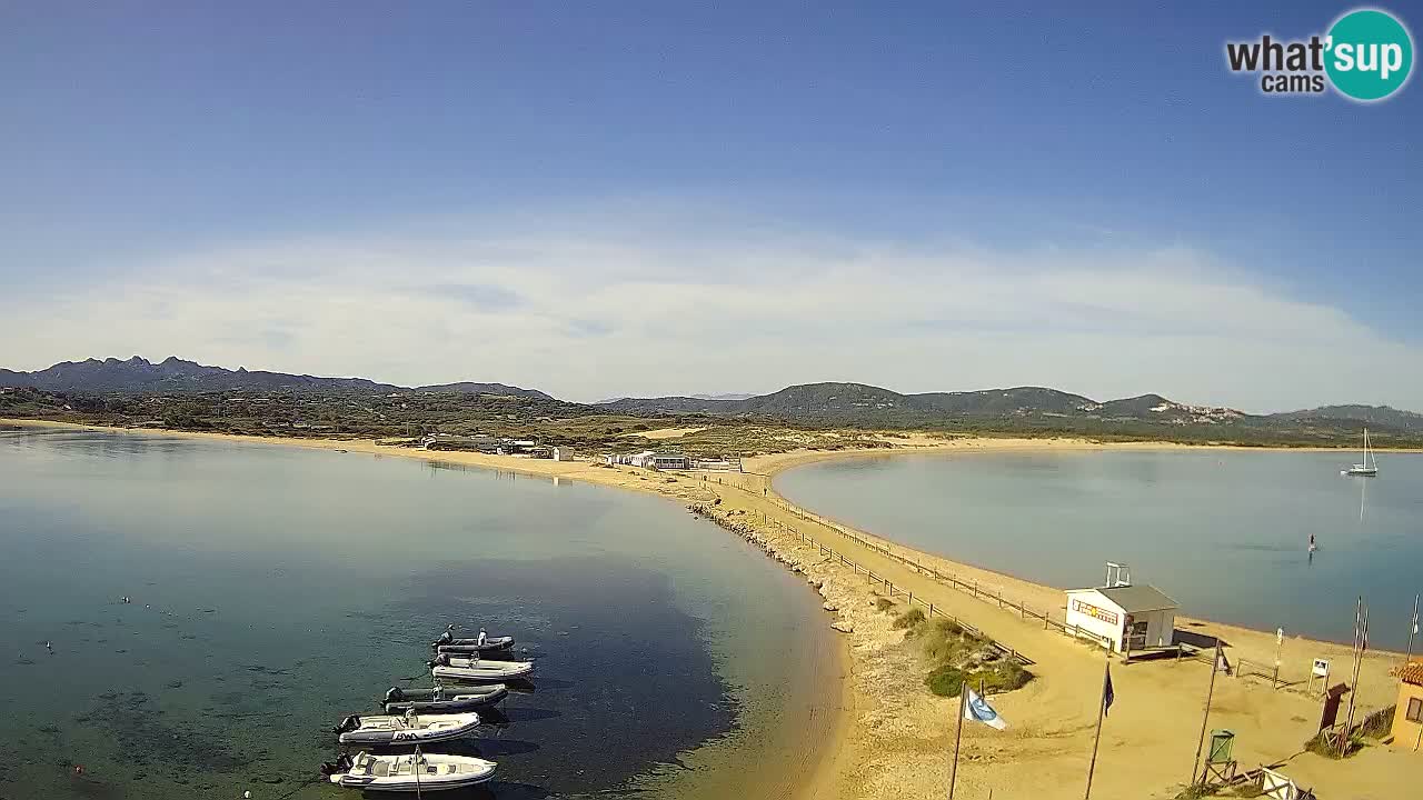 Live Webcam Isuledda – Isola dei Gabbiani – Porto Pollo – Palau – Sardinia