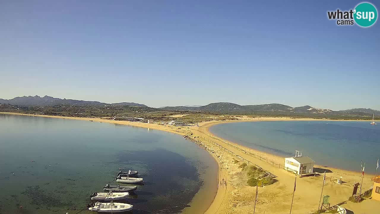 Live Webcam Isuledda – Isola dei Gabbiani – Porto Pollo – Palau – Sardinia