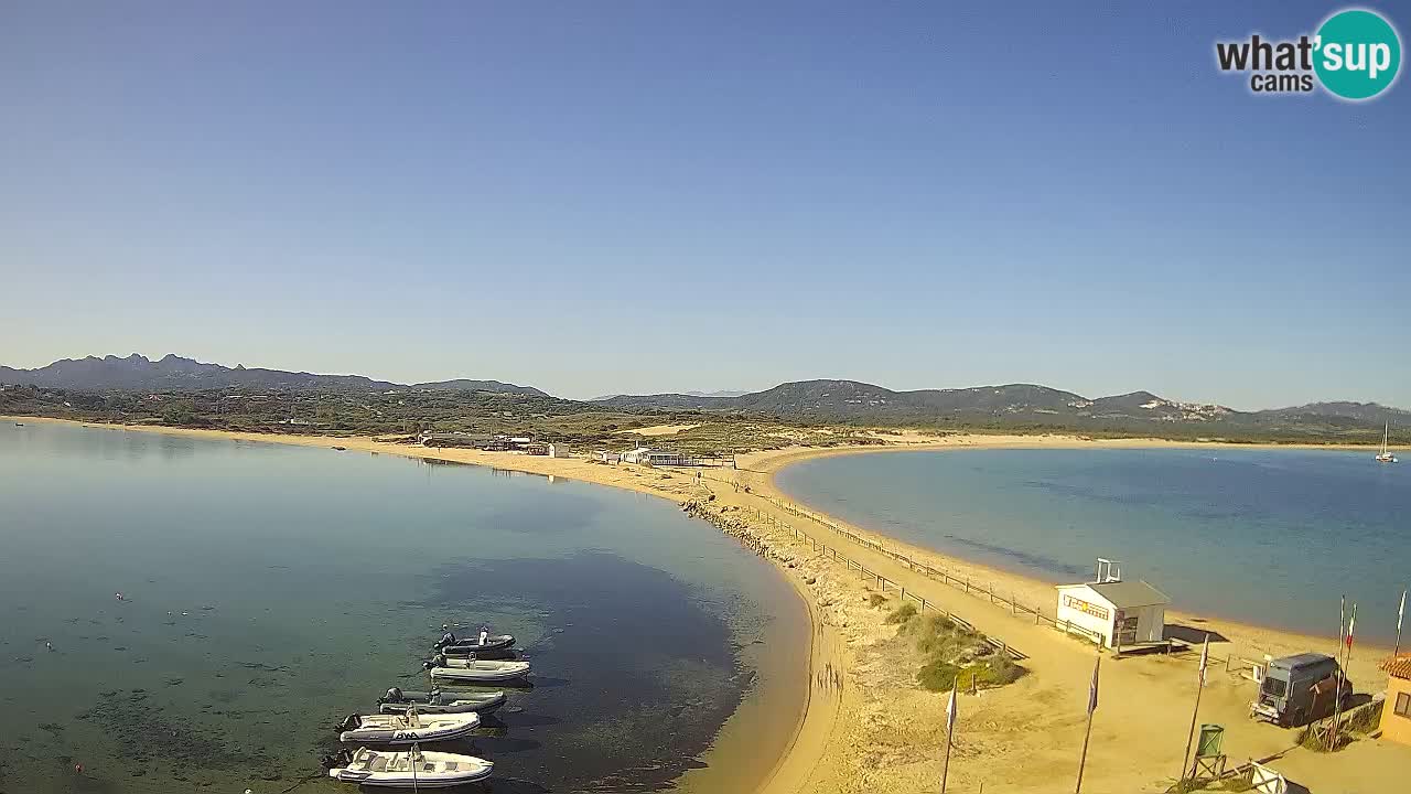L’Isuledda webcam Isola dei Gabbiani – Porto Pollo – Palau – Cerdeña – Italia