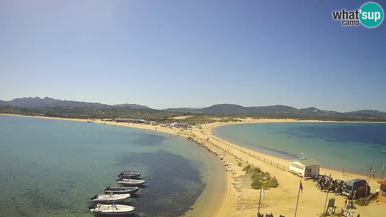 Live Webcam Isuledda – Isola dei Gabbiani – Porto Pollo – Palau – Sardinia