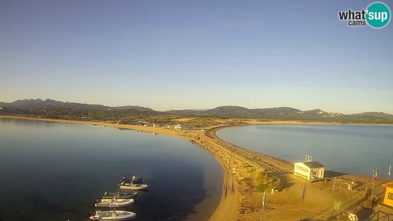 L’Isuledda webcam Isola dei Gabbiani – Porto Pollo – Palau – Sardegna