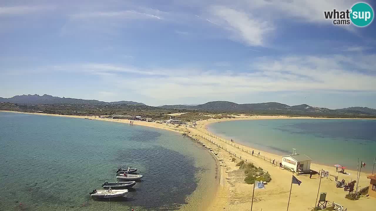 L’Isuledda webcam Isola dei Gabbiani – Porto Pollo – Palau – Sardegna