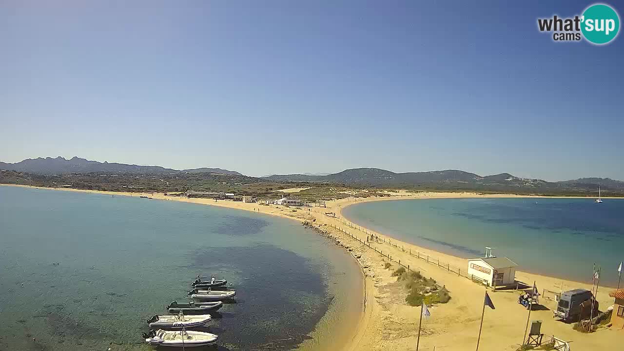 L’Isuledda webcam Isola dei Gabbiani – Porto Pollo – Palau – Sardegna