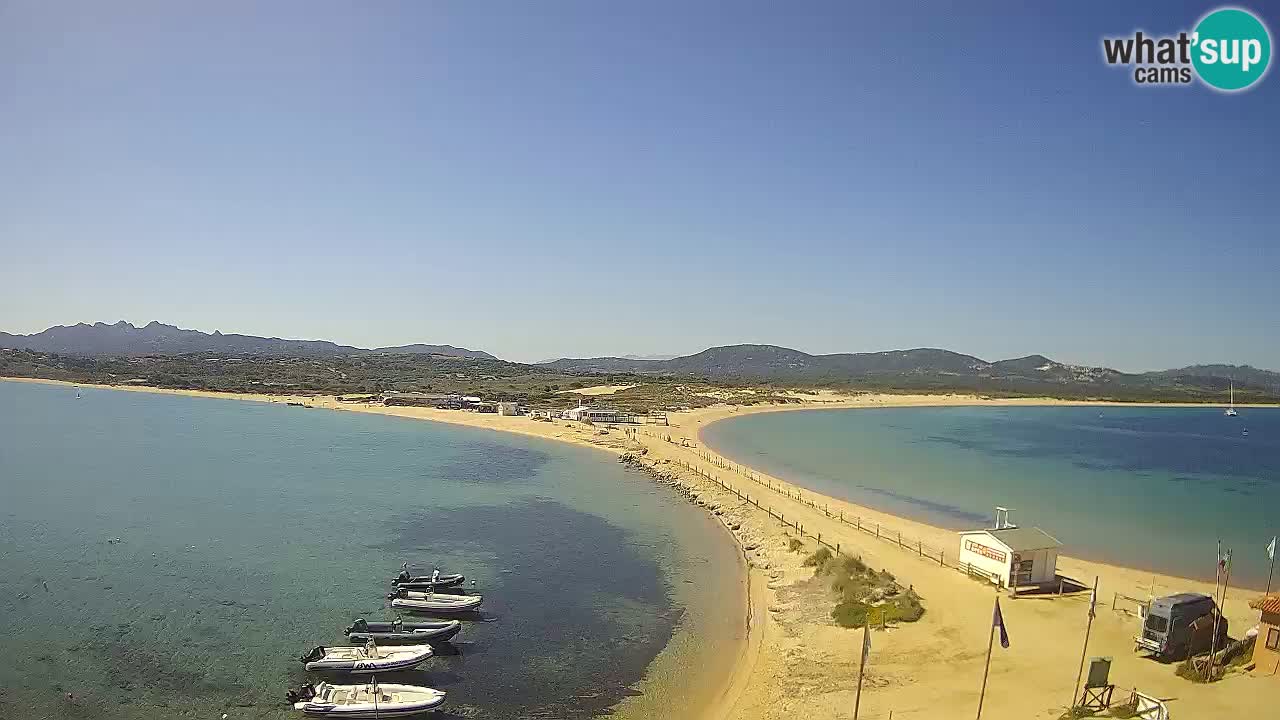 L’Isuledda webcam Isola dei Gabbiani – Porto Pollo – Palau – Cerdeña – Italia