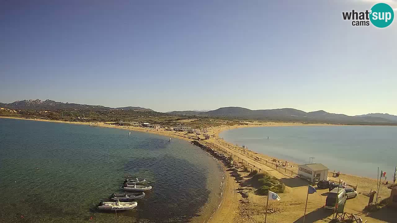 Livecam l’Isuledda – Isola dei Gabbiani – Porto Pollo – Palau – Sardaigne – Italie