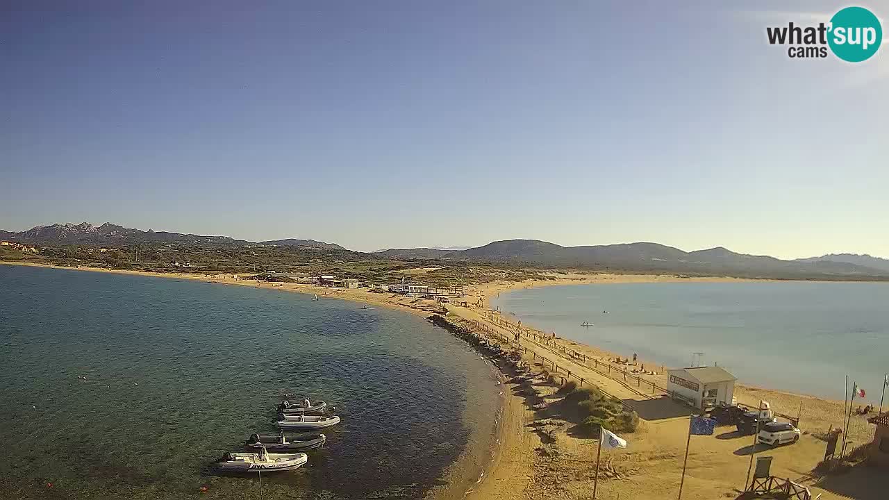 L’Isuledda webcam Isola dei Gabbiani – Porto Pollo – Palau – Sardegna