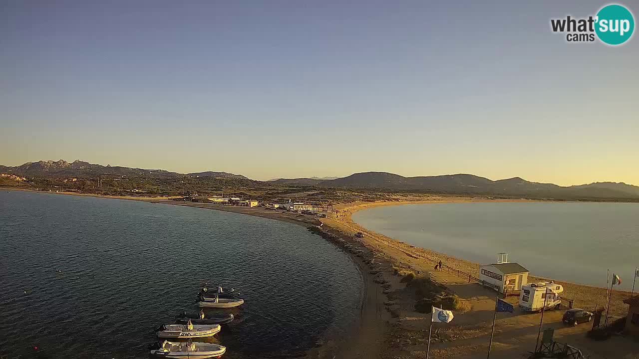 L’Isuledda webcam Isola dei Gabbiani – Porto Pollo – Palau – Cerdeña – Italia