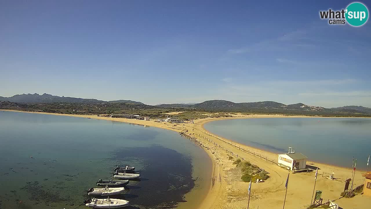 L’Isuledda webcam Isola dei Gabbiani – Porto Pollo – Palau – Cerdeña – Italia