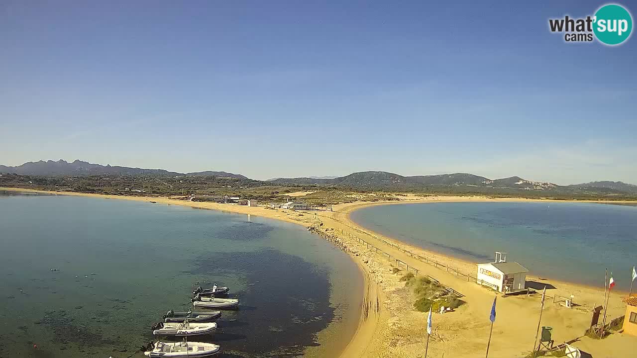 L’Isuledda webcam Isola dei Gabbiani – Porto Pollo – Palau – Sardegna