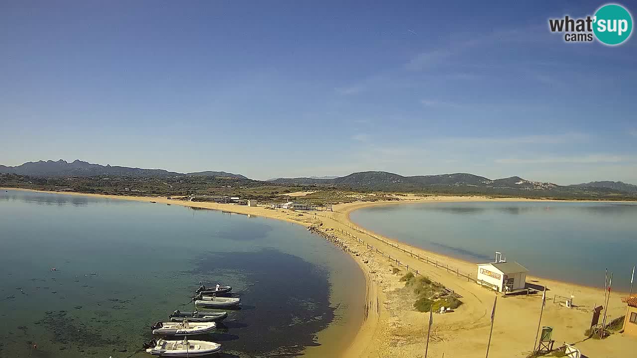 L’Isuledda webcam Isola dei Gabbiani – Porto Pollo – Palau – Cerdeña – Italia