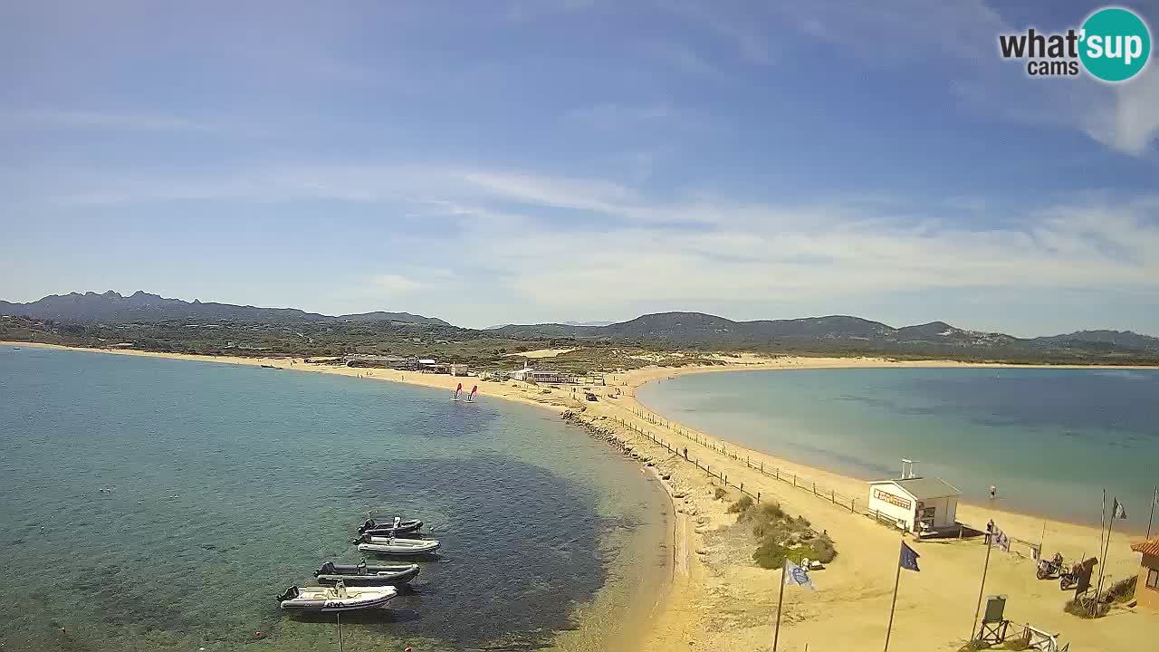 L’Isuledda webcam Isola dei Gabbiani – Porto Pollo – Palau – Sardegna
