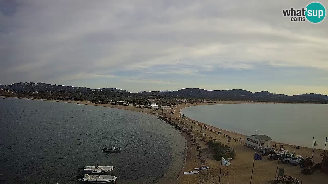 Live Webcam Isuledda – Isola dei Gabbiani – Porto Pollo – Palau – Sardinia