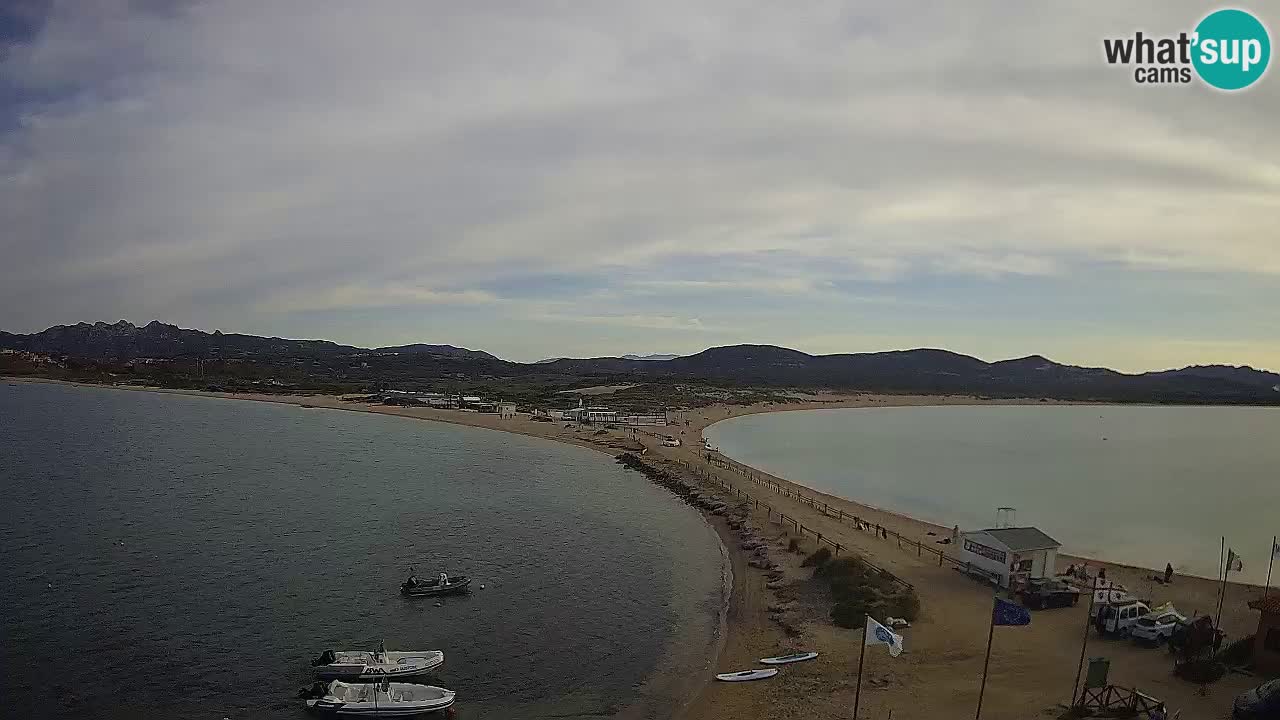 Live Webcam Isuledda – Isola dei Gabbiani – Porto Pollo – Palau – Sardinia