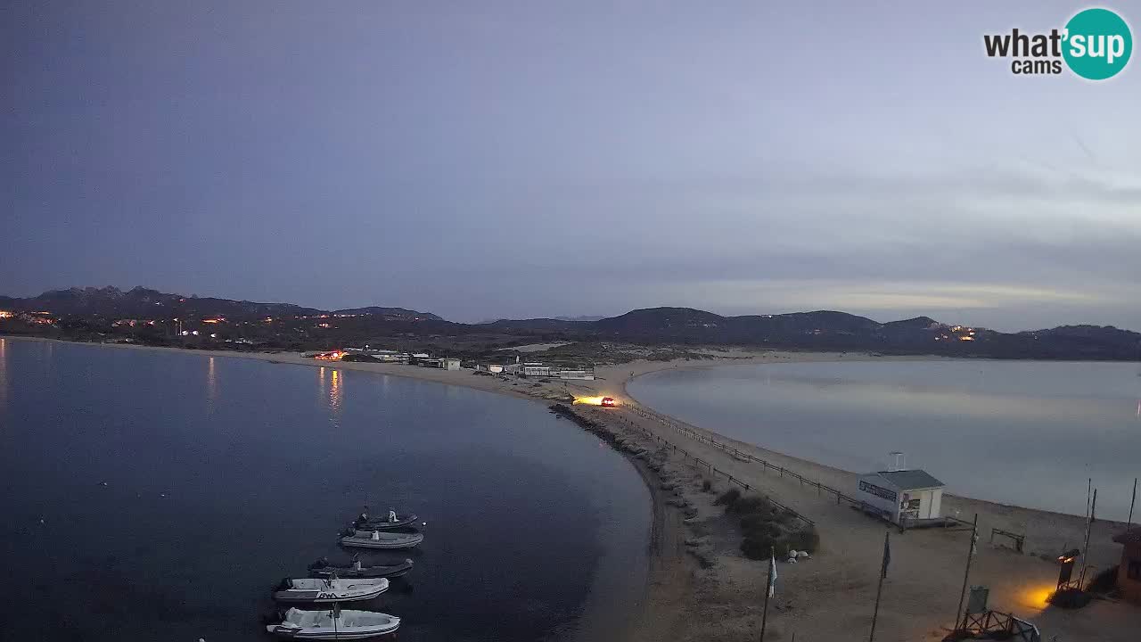 L’Isuledda webcam Isola dei Gabbiani – Porto Pollo – Palau – Sardegna