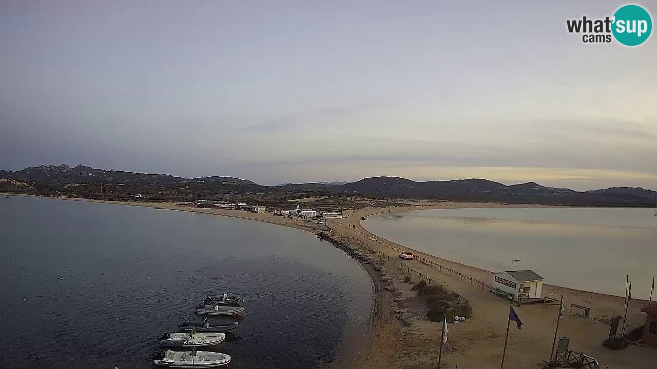 Livecam l’Isuledda – Isola dei Gabbiani – Porto Pollo – Palau – Sardaigne – Italie