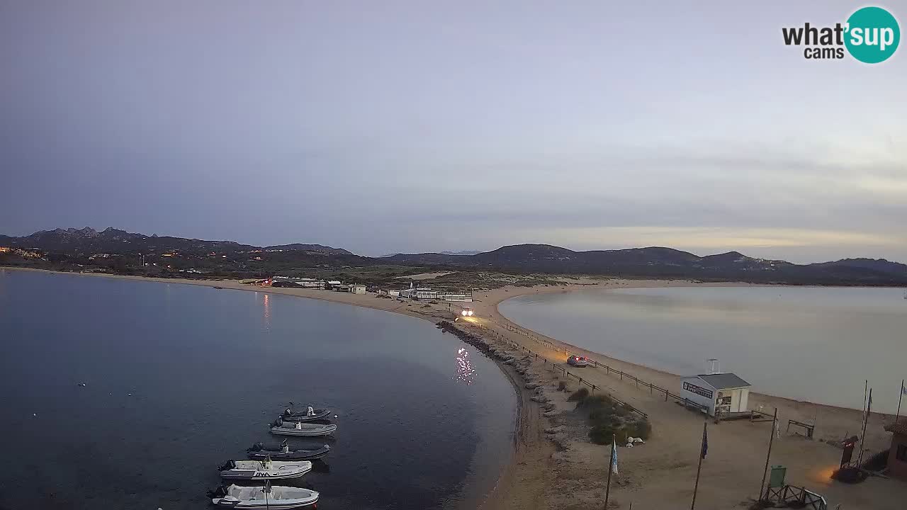 L’Isuledda webcam Isola dei Gabbiani – Porto Pollo – Palau – Sardegna