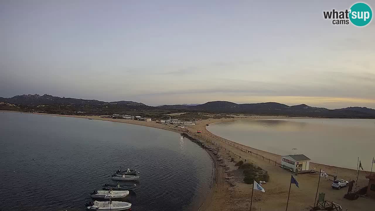 L’Isuledda webcam Isola dei Gabbiani – Porto Pollo – Palau – Cerdeña – Italia
