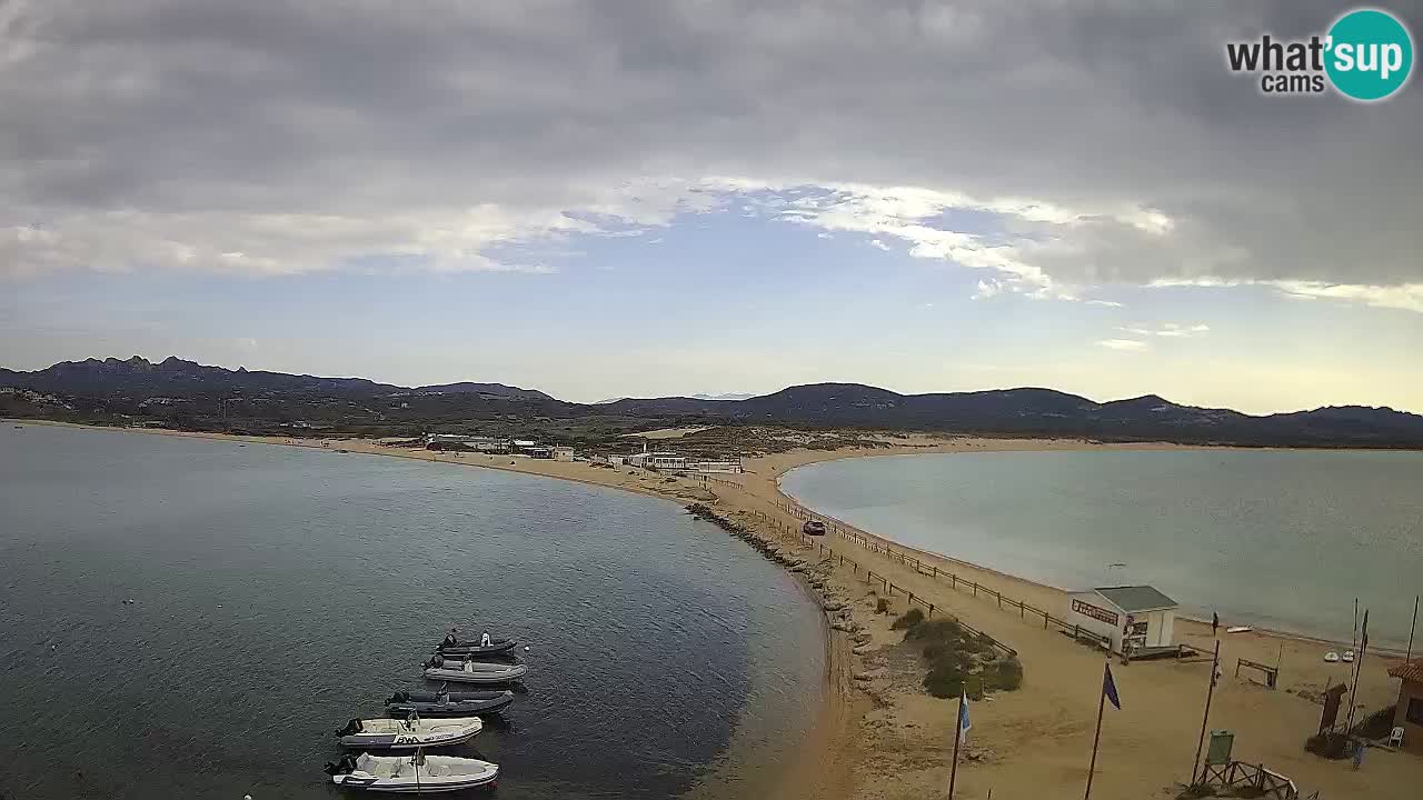 L’Isuledda webcam Isola dei Gabbiani – Porto Pollo – Palau – Cerdeña – Italia