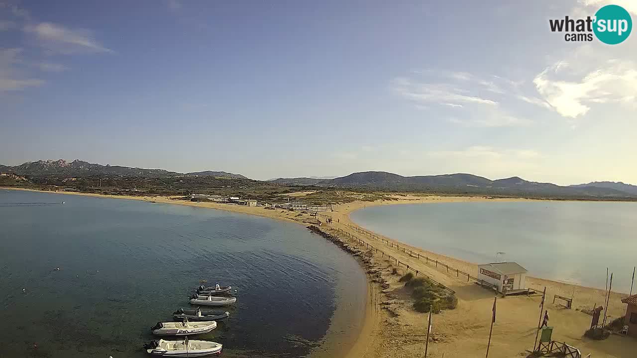 L’Isuledda webcam Isola dei Gabbiani – Porto Pollo – Palau – Cerdeña – Italia