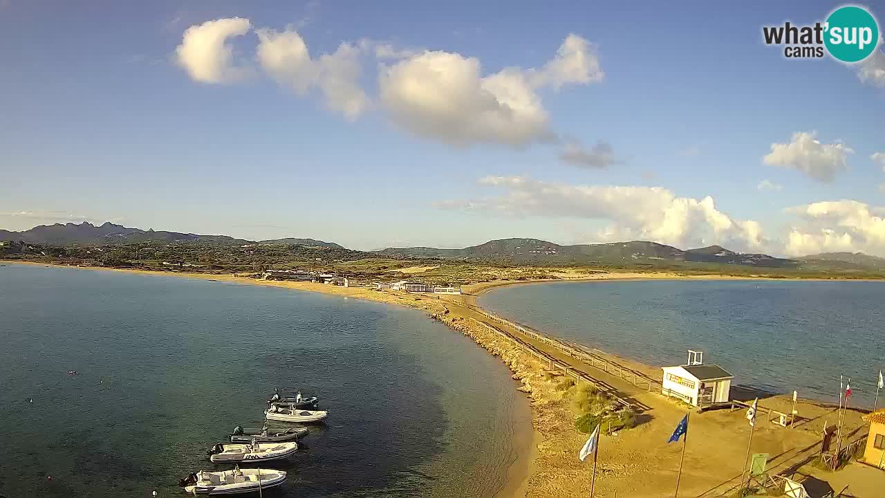 Live Webcam Isuledda – Isola dei Gabbiani – Porto Pollo – Palau – Sardinia